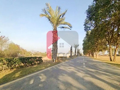1 Kanal Agriculture Land for Sale on Bedian Road, Lahore
