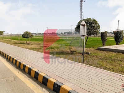 1 Kanal Plot for Sale in Block C, Phase 1, Fazaia Housing Scheme, Lahore