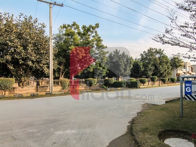 10 Marla Plot for Sale in Block E, Phase 1, State Life Housing Society, Lahore
