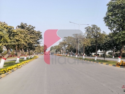 10 Marla Plot for Sale in Izmir Town, Lahore