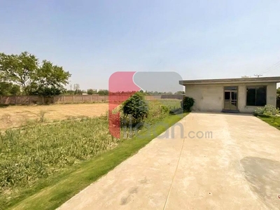 14 Kanal Agriculture Land for Sale in Thethar, Lahore