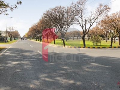 2 Kanal Plot (Plot no 205) for Sale in Block W, Phase 3, DHA Lahore