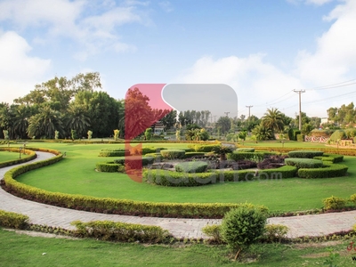 3.5 Marla Plot for Sale in Block D, Palm City, Lahore