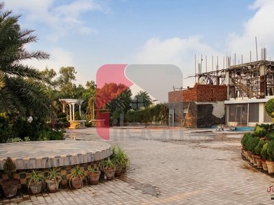 5 Marla Plot for Sale in Block D, Palm City, Lahore