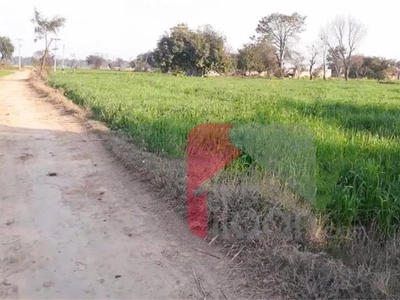 8 Kanal Agriculture Land for Sale on Barki Road, Lahore