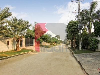 1 Kanal 6 Marla Commercial Plot for Sale in Sadaat Town, Lahore