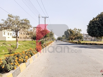 1 Kanal Commercial Plot for Sale in Phase 2, Nespak Housing Scheme, Lahore