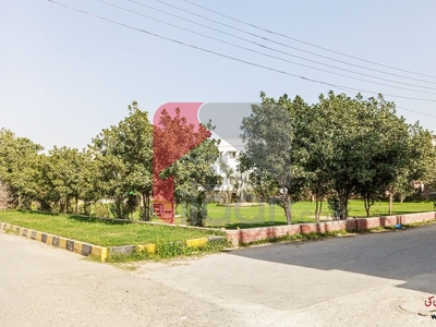 1 Kanal Commercial Plot for Sale in Phase 2, Nespak Housing Scheme, Lahore