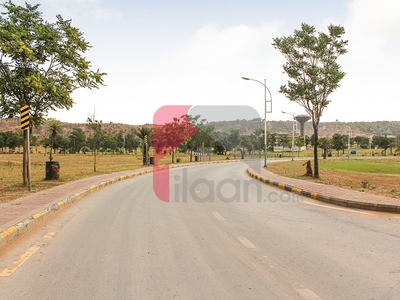 5.3 Marla Plot for Sale in Block A, Phase 3, DHA, Islamabad