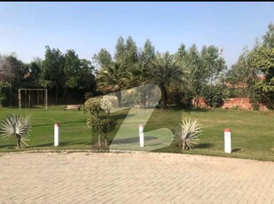 4 Kanal Event Farm House For Rent Per Day Bedian Road