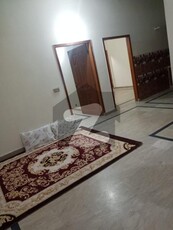 7 MARLA SINGLE STORY HOUSE AVAILABLE FOR RENT. Judicial Colony