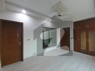One Kanal House for Rent in DHA Phase 7 DHA Phase 7 Block Y