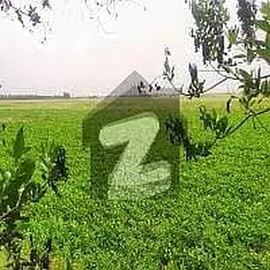 125 Acre Fully Agriculture Land For Sale
