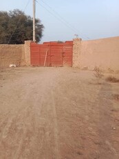 Cattle Farm For Sale In Reasonable Price