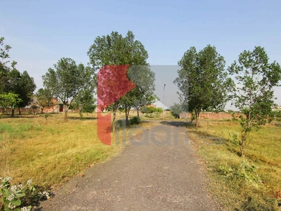 18 Marla Plot for Sale in Block A, Transport Housing Society, Lahore