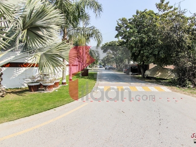 2 Kanal Pair Plots (Plot no 49+50) for Sale in Block X, Phase 3, DHA Lahore