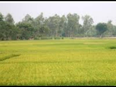25 Kanal Agricultural land Available for Sale, Near Chakri interchange