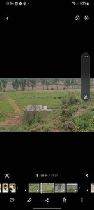 500 kanal agricultural land in chakri