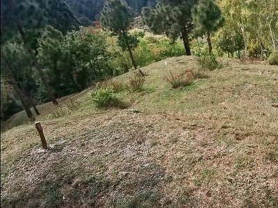 8 marla plot available for sale in Shimla Hill Abbottabad
