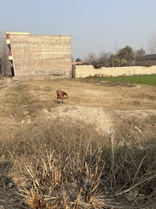 Model Town Extension Plot Available For Sale