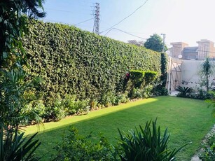 1 Kanal House for Rent In University Town, Peshawar