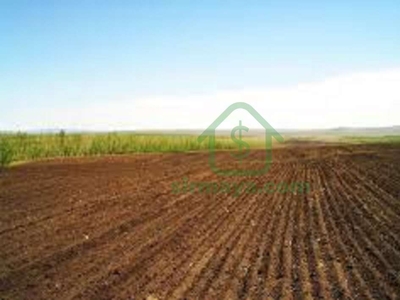 32 Kanal Commercial Land For Sale In Main Faisalabad Road Sargodha Road