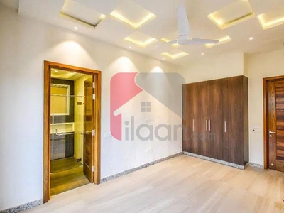1 Kanal House for Rent (First Floor) in Block Q, Phase 7, DHA Lahore