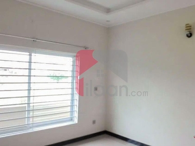 1 Kanal House for Rent (First Floor) in PWD Housing Scheme, Islamabad