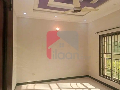 7 Marla House for Rent in Phase 8, Bahria Town, Rawalpindi
