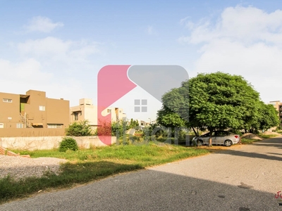 1 Kanal Pair Plots (Plot no 255+256) for Sale in Block B, Phase 6, DHA Lahore