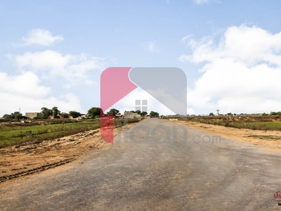 1 Kanal Plot for Sale in Block Z, Phase 8 - Ivy Green, DHA Lahore