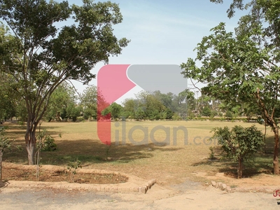 1 Kanal Plot for Sale in Phase 1, NFC, Lahore