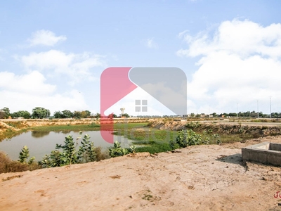 1 Kanal Plot (Plot no 174) for Sale in Block Z6, Phase 8, DHA Lahore