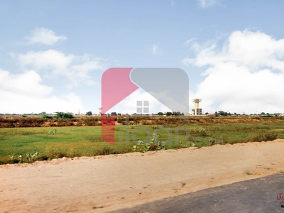 10 Marla Pair Plots (Plot no 360+361) for Sale in Block Z5, Phase 8, DHA Lahore