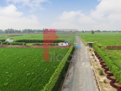 16 Kanal Farm House Land for Sale in IVY Farms, Barki Road, Lahore