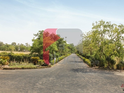 2 Kanal Plot for Sale in Phase 1, NFC, Lahore