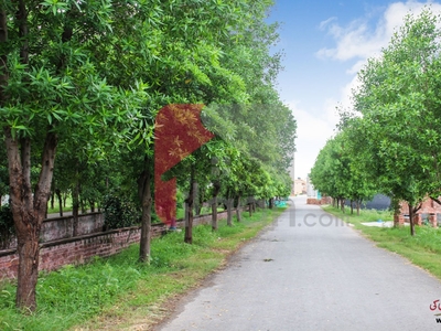 4 Marla Plot (Plot no 192) for Sale in Block B, Phase 2, High Court Society, Lahore