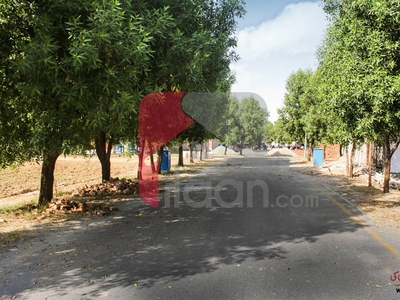 5 Marla Plot (Plot no 485) for Sale in Block E, Phase 2, Bahria Orchard, Lahore