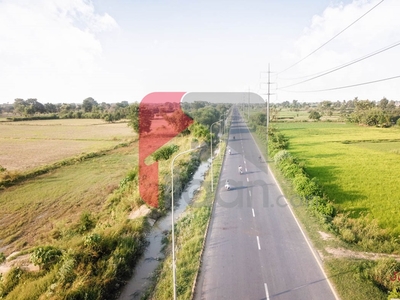 5 Marla Plot (Plot no 546) for Sale in Block Z4, Phase 8, DHA Lahore
