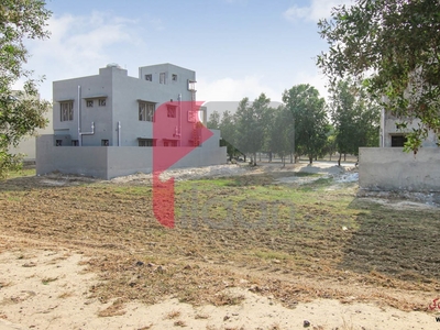 5 Marla Plot (Plot no 780) for Sale in Block D, Phase 2, Bahria Orchard, Lahore