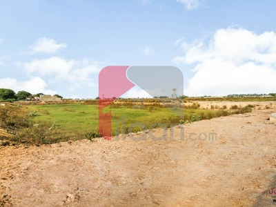 5 Marla Plot (Plot no 790) for Sale in Block Z4, Phase 8, DHA Lahore