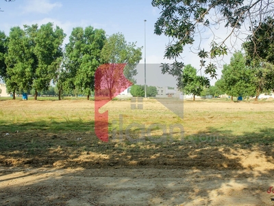 8 Marla Plot (Plot no 250) for Sale in Block OLC D, Phase 2, Bahria Orchard, Lahore