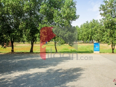 9.74 Marla Plot (Plot no 578) for Sale in Block J, Phase 2, Bahria Orchard, Lahore
