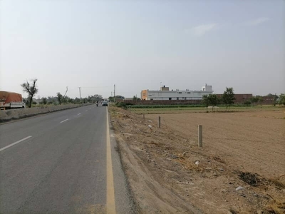 Buying A Agricultural Land In Jaranwala Road?