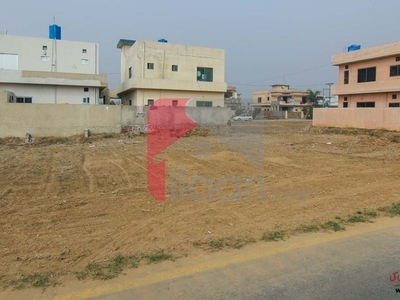 10 marla plot available for sale in D - Block Central Park Housing Scheme, Lahore ( Plot no 264 )