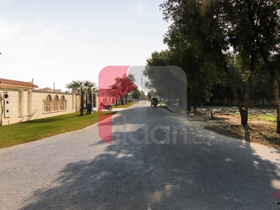 2 Kanal Plot (Plot no 593/3) for Sale in Block H, Phase 5, DHA Lahore