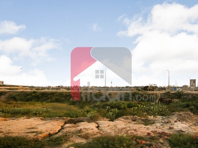 5 Marla Plot (Plot no 429) for Sale in Block Y, Phase 8, DHA Lahore