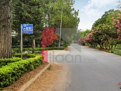 1 Kanal 16 Marla House for Rent in E-7, Islamabad