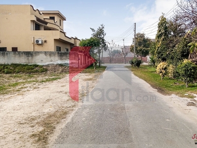 1 Kanal House for Rent (Ground Floor) in Architects Engineers Housing Society, Lahore