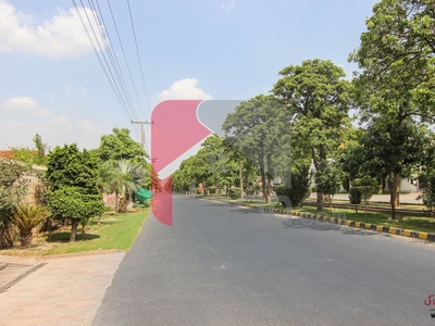 1 Kanal Plot for Sale in Block F, Phase 1, Sui Gas Society, Lahore